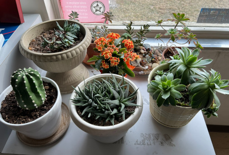 US Post Office Saint Petersburg , Pennsylvania